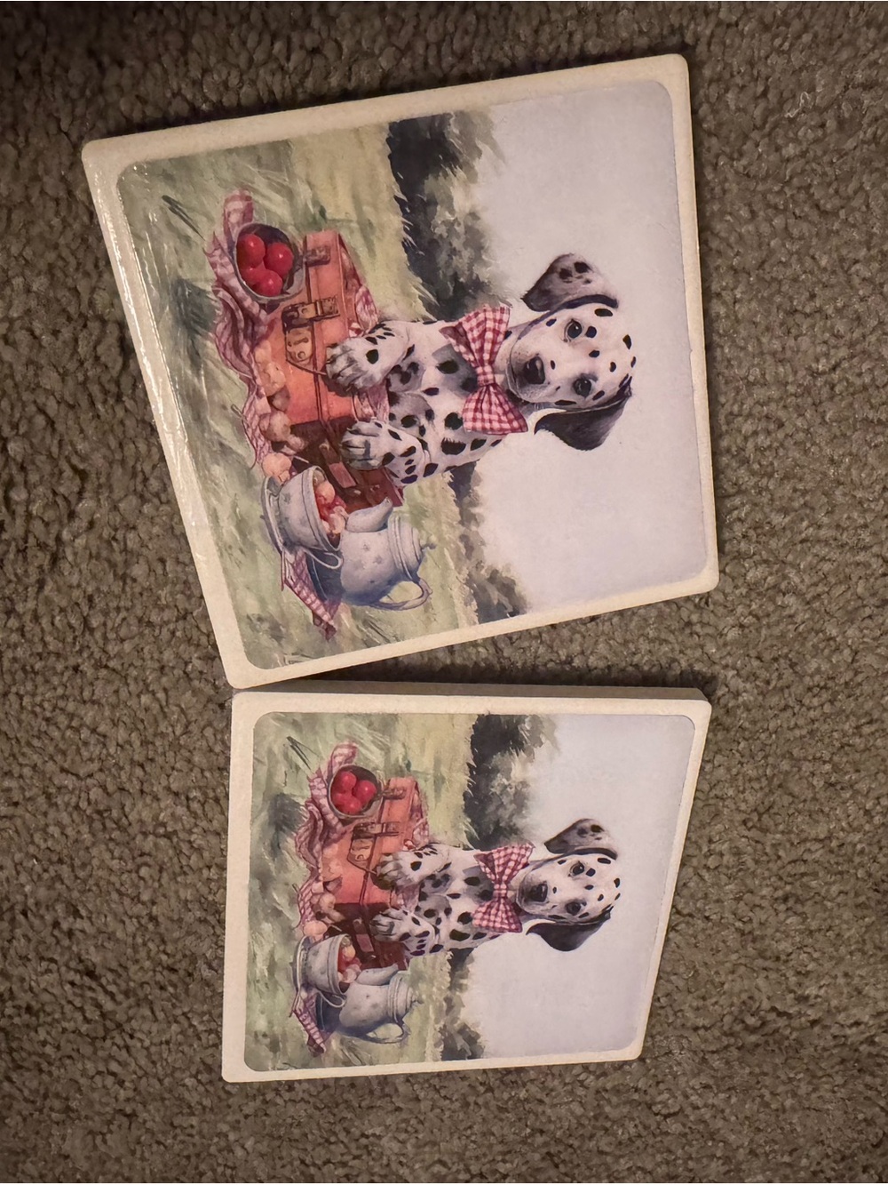 Dalmatian Picnic Coasters - White